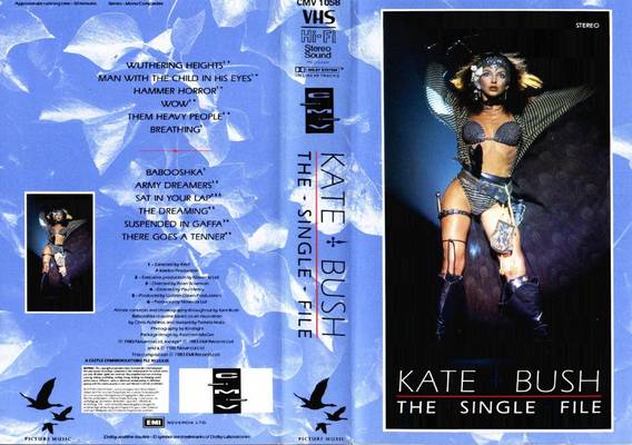 Rockpeaks Kate Bush The Single File rockpeaks kate bush the single file